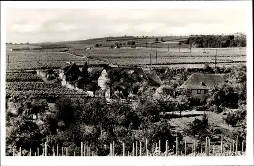 Ak Oestrich Winkel am Rhein Rheingau, Gasthaus Lohmühle