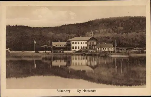 Ak Silkeborg Dänemark, Ny Hattenaes