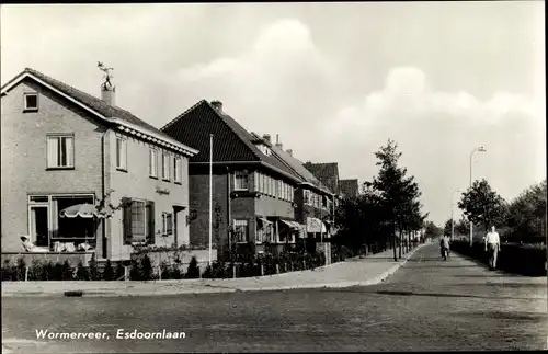 Ak Wormerveer Nordholland Niederlande, Esdoornlaan