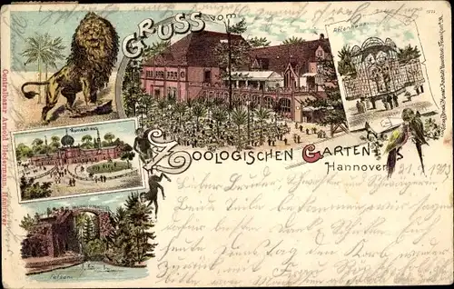 Litho Hannover in Niedersachsen, Zoologischer Garten, Löwe, Affenhaus