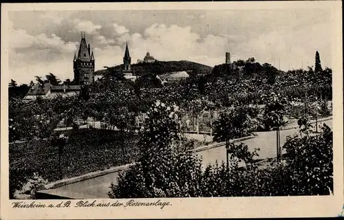 Ak Weinheim an der Bergstraße Baden, Blick aus der Rosenanlage