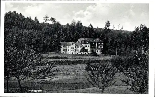 Ak Hohegrete Pracht im Westerwald, Erholungsheim, Wald