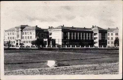 Ak Domažlice Taus Reg. Pilsen, Teilansicht der Stadt, Gebäude