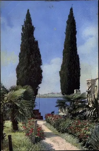 Ak Gardasee ?, Photochromie, Nenke und Ostermaier 1833, Garten mit Palmen, Zypressen