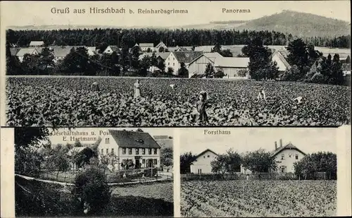 Ak Hirschbach Glashütte im Osterzgebirge, Panorama, Forsthaus, Geschäftshaus E. Hartmann