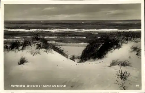 Ak Nordseebad Spiekeroog in Ostfriesland, Dünen am Strande