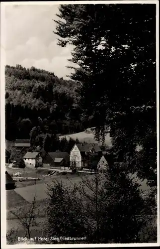 Ak Grasellenbach im Odenwald, Hotel Siegfriedbrunnen