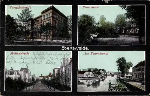 Ak Eberswalde, Forstakademie, Promenade, Moltkestraße, Finowkanal