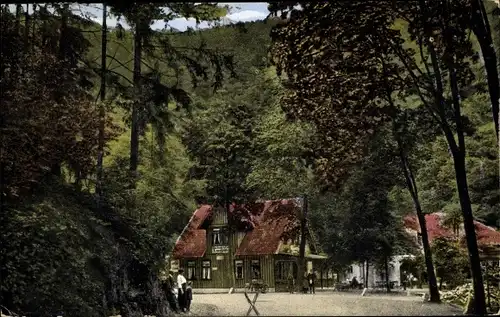 Ak Treseburg Thale im Harz, Gasthaus zur Luppbode