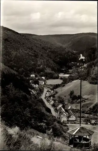 Ak Zorge Walkenried im Harz, Blick vom Pferdchen auf Oberzorge