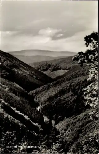 Ak Espenschied Lorch im Rheingau Hessen, Blick ins Werkerbachtal