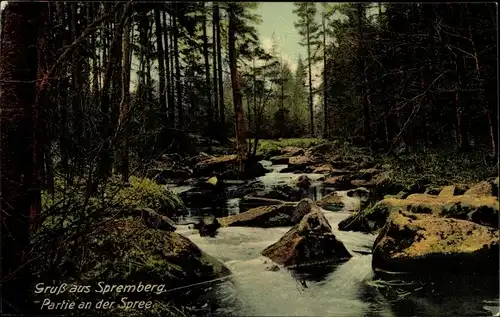 Ak Neusalza Spremberg Oberlausitz, Partie an der Spree, Waldlandschaft