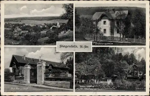 Ak Siegenfeld Heiligenkreuz in Niederösterreich, Erholungsheim, Gut Marienhof, Hotel Louisenheim