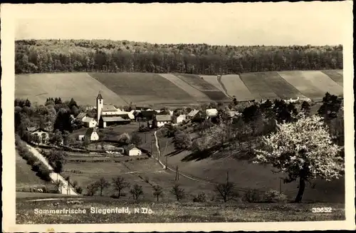 Ak Siegenfeld Heiligenkreuz in Niederösterreich, Ortspanorama zur Baumblüte, Kirche