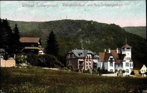 Ak Schlangenbad im Taunus Hessen, Wilhelmsfelsen und Neu Schlangenbad, Villen