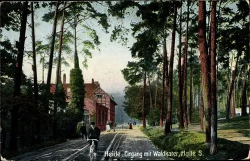 Ak Halle an der Saale, Heide, Eingang mit Waldkater