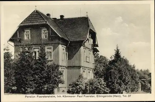 Ak Elbingerode Oberharz am Brocken, Pension Förstersheim