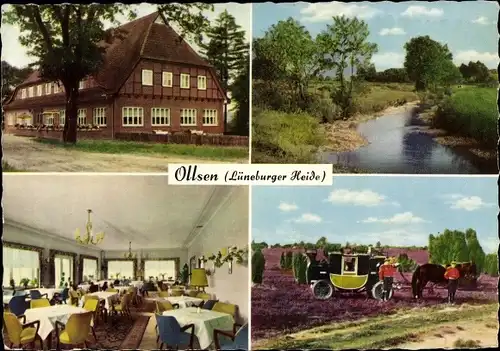 Ak Ollsen Hanstedt Niedersachsen, Gasthof Zur Eiche, Inh. G. Hartig, Kutsche