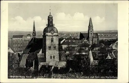 Ak Brandenburg an der Havel, Gotthardtkirche und Dom vom Marienberg aus