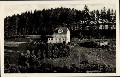 Ak Tanne Oberharz am Brocken, Café und Pension Sanssouci, Wald