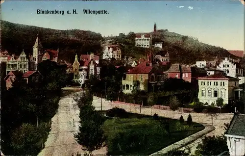 Ak Blankenburg am Harz, Villen