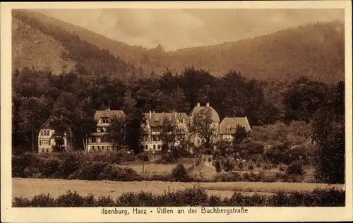 Ak Ilsenburg Harz, Villen,Buchbergstraße