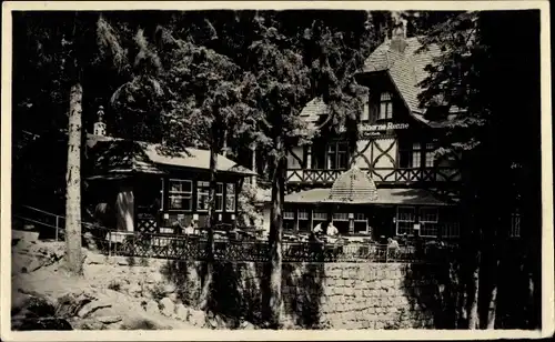 Ak Wernigerode am Harz, Hotel Steinerne Renne