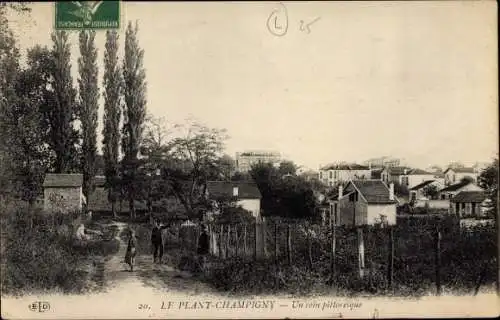 Ak Le Plant Champigny sur Marne Val de Marne, Un coin pittoresque