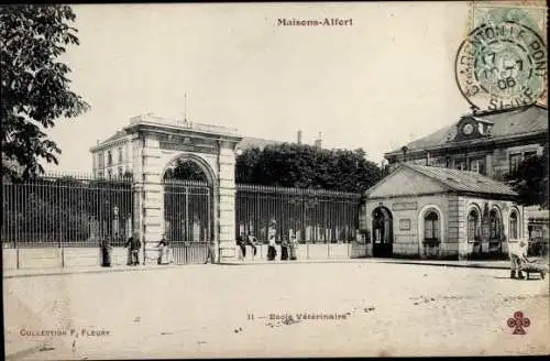 Ak Maisons Alfort Val de Marne, Ecole Veterinaire