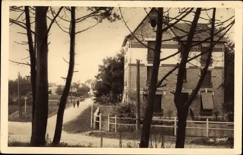 Ak Franceville Plage Calvados, Villas dans leur cadre de sapins