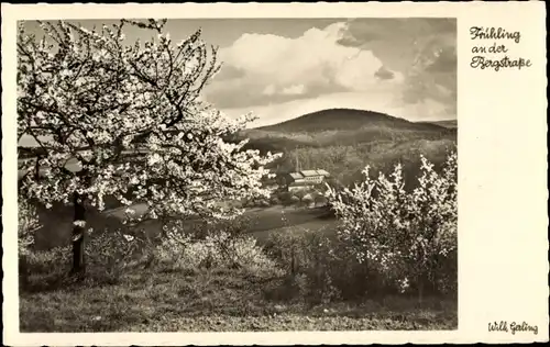 Ak Eberstadt Darmstadt in Hessen, Frühling, Bergstraße