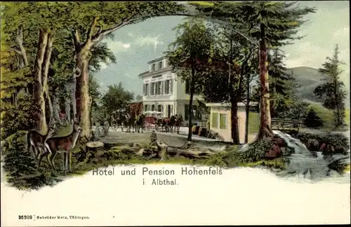 Passepartout Ak Hohenfels Albbruck am Hochrhein, Hotel und Pension im Albtal, Kutsche