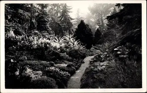 Foto Ak Boulogne Hauts de Seine, Jardins de Boulogne, Motiv aus dem Garten