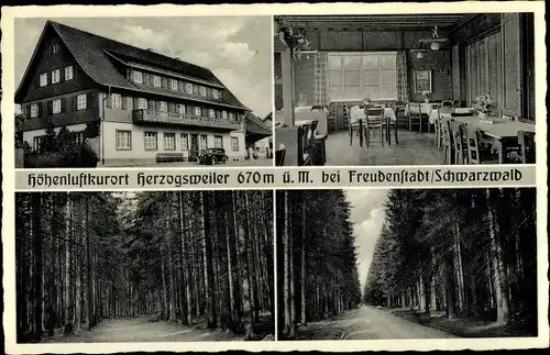 Ak Herzogsweiler Pfalzgrafenweiler im Nordschwarzwald, Pension zum Hirsch, Innenansicht
