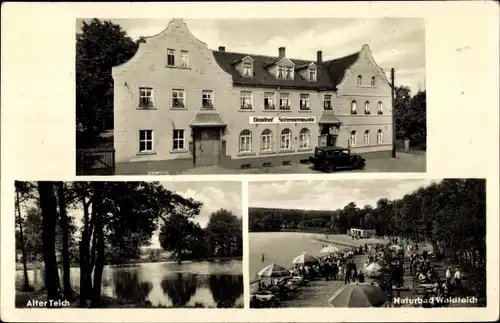 Ak Dahlen in Sachsen, Gasthof Schmannewitz, Alter Teich, Naturbad Waldteich