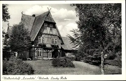 Ak Walsrode in der Lüneburger Heide, Waldwirtschaft Luisenhöhe