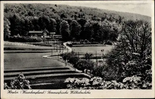 Ak Höxter an der Weser, Wilhelmshöhe, Blick auf den Ort