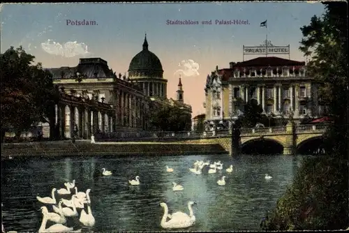 Ak Potsdam in Brandenburg, Stadtschloss, Palast Hotel, Schwäne