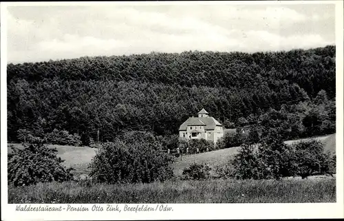 Ak Beerfelden Oberzent im Odenwald, Waldrestaurant