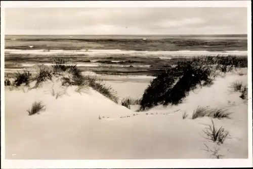 Ak Insel Baltrum in Ostfriesland, Dünen, Meer