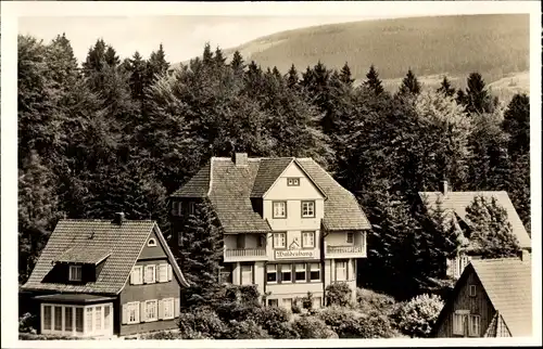 Ak Braunlage im Oberharz, Haus Klavehn, Haus Am Waldeshang