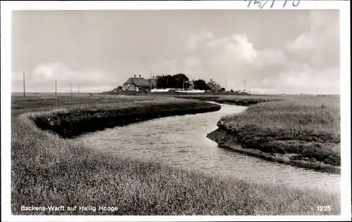 Ak Hallig Hooge in Nordfriesland, Backens Warft