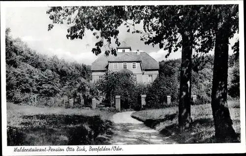 Ak Beerfelden Oberzent im Odenwald, Pension