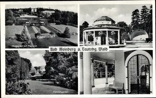 Ak Bad Meinberg am Teutoburger Wald, Brunnen, Palmengarten, Kurgarten, Kurheim