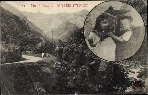 Ak Pyrenees, Mille bons Souhaits, Junge mit Esel, Gebirgslandschaft