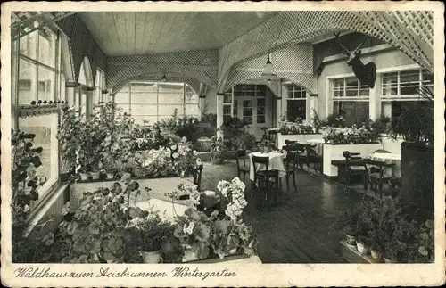 Ak Schlüchtern in Hessen, Waldhaus zum Acisbrunnen, Wintergarten