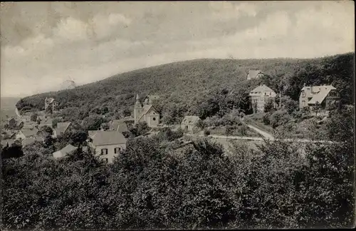 Ak Eppenhain Kelkheim im Taunus, Panorama