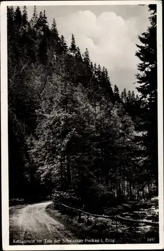 Ak Pockau im Erzgebirge Sachsen, Katzenstein