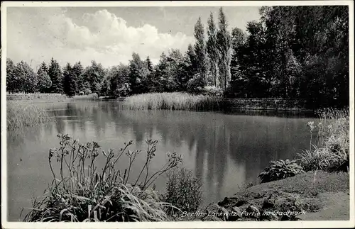Ak Berlin Steglitz Lankwitz, Stadtpark