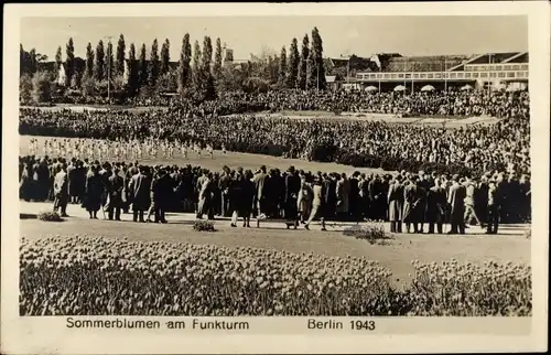 Ak Berlin Charlottenburg, Sommerblumen am Funkturm, 1943